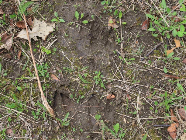 000 US BYPASS 20, FREEPORT, Illinois 61032, ,Land,For Sale,US BYPASS 20,202602085