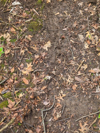 000 US BYPASS 20, FREEPORT, Illinois 61032, ,Land,For Sale,US BYPASS 20,202602085