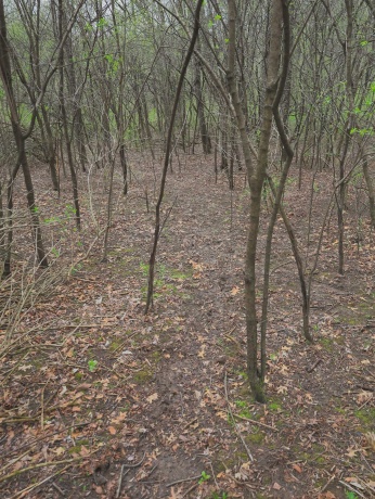 000 US BYPASS 20, FREEPORT, Illinois 61032, ,Land,For Sale,US BYPASS 20,202602085