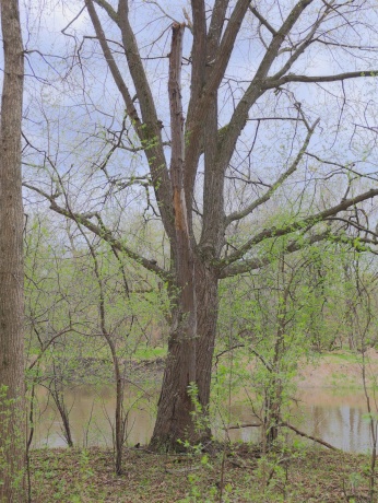 000 US BYPASS 20, FREEPORT, Illinois 61032, ,Land,For Sale,US BYPASS 20,202602085