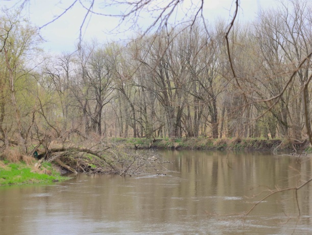 000 US BYPASS 20, FREEPORT, Illinois 61032, ,Land,For Sale,US BYPASS 20,202602085