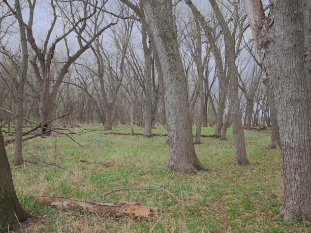 000 US BYPASS 20, FREEPORT, Illinois 61032, ,Land,For Sale,US BYPASS 20,202602085