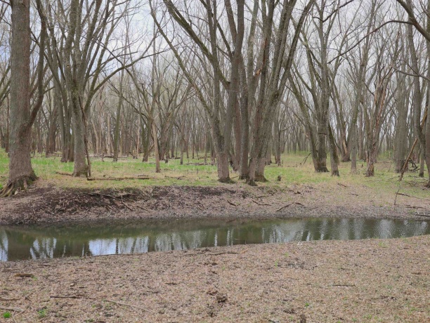 000 US BYPASS 20, FREEPORT, Illinois 61032, ,Land,For Sale,US BYPASS 20,202602085