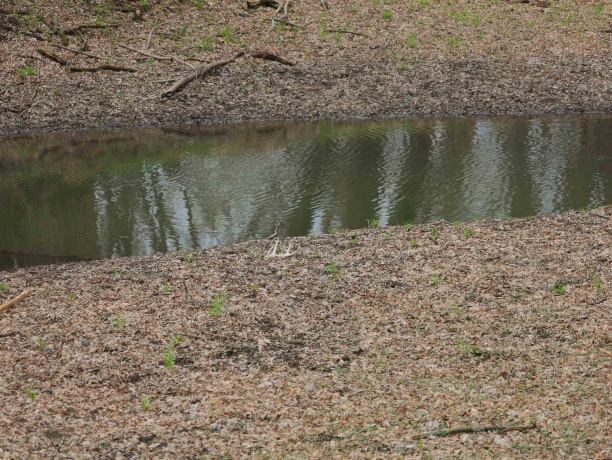 000 US BYPASS 20, FREEPORT, Illinois 61032, ,Land,For Sale,US BYPASS 20,202602085