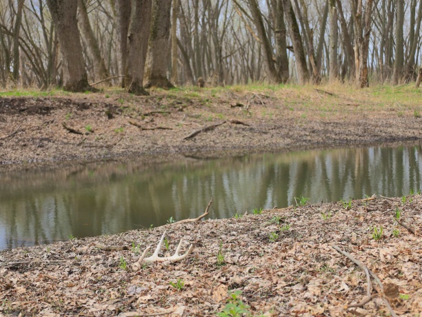 000 US BYPASS 20, FREEPORT, Illinois 61032, ,Land,For Sale,US BYPASS 20,202602085