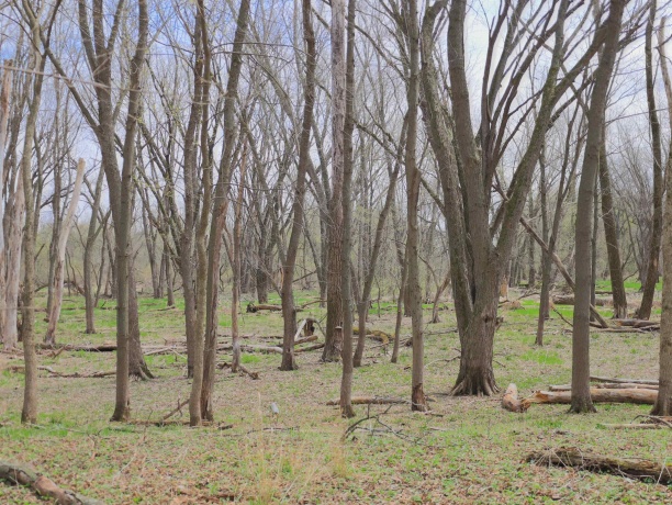 000 US BYPASS 20, FREEPORT, Illinois 61032, ,Land,For Sale,US BYPASS 20,202602085