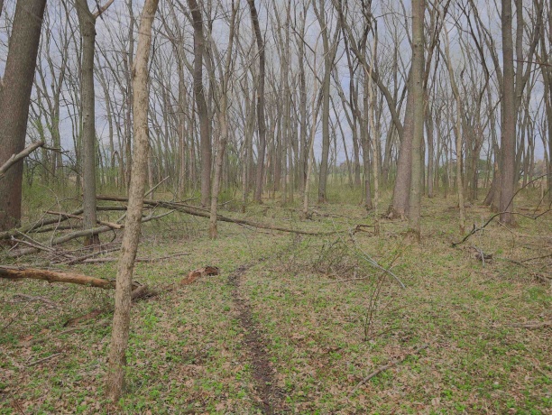 000 US BYPASS 20, FREEPORT, Illinois 61032, ,Land,For Sale,US BYPASS 20,202602085