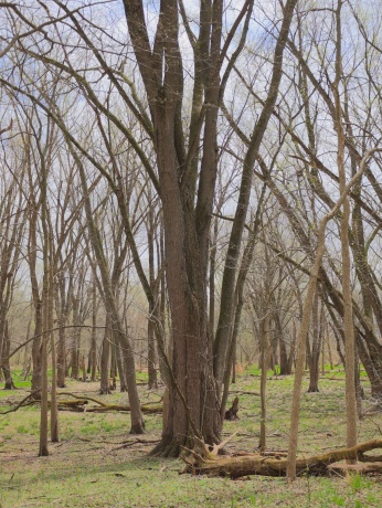 000 US BYPASS 20, FREEPORT, Illinois 61032, ,Land,For Sale,US BYPASS 20,202602085