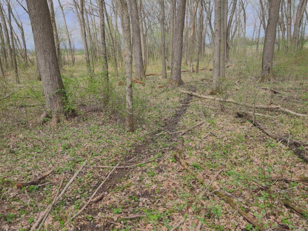 000 US BYPASS 20, FREEPORT, Illinois 61032, ,Land,For Sale,US BYPASS 20,202602085