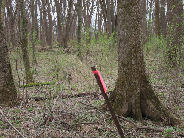 000 US BYPASS 20, FREEPORT, Illinois 61032, ,Land,For Sale,US BYPASS 20,202602085