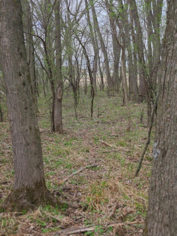 000 US BYPASS 20, FREEPORT, Illinois 61032, ,Land,For Sale,US BYPASS 20,202602085