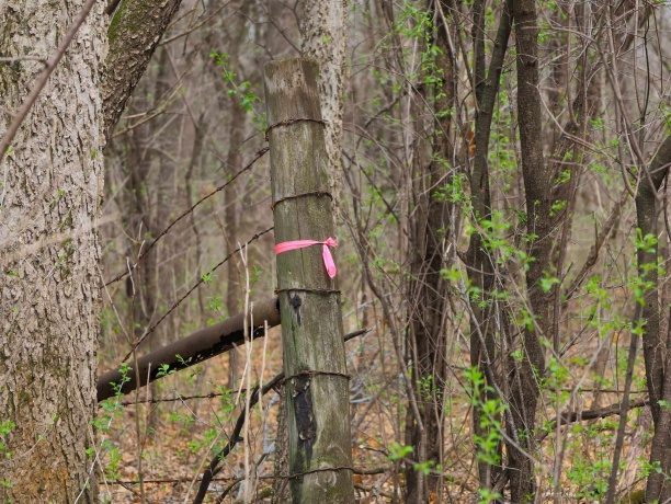 000 US BYPASS 20, FREEPORT, Illinois 61032, ,Land,For Sale,US BYPASS 20,202602085