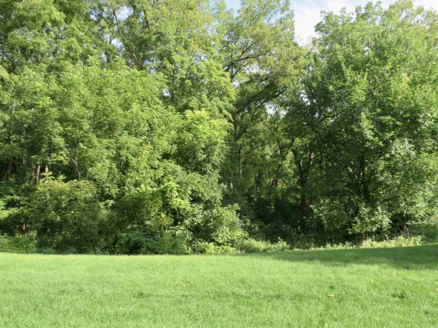 812 Shadow Bluff Drive, GALENA, Illinois 61036, 3 Bedrooms Bedrooms, ,3 BathroomsBathrooms,Condominium,For Sale,Shadow Bluff Drive,202505411