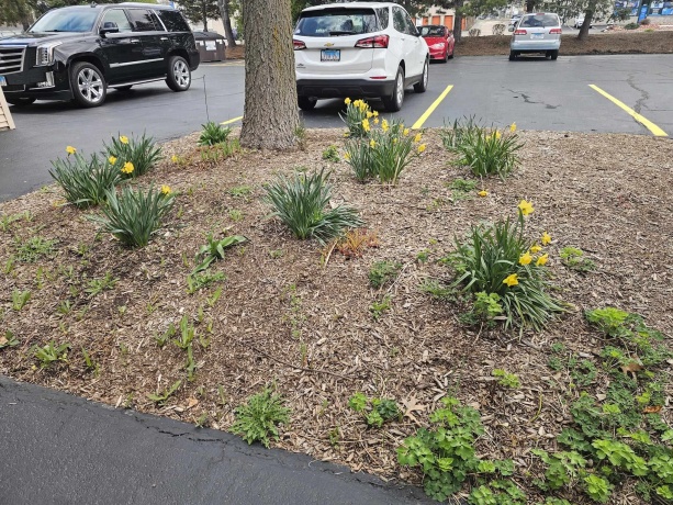 7260 Alpine Road #4, LOVES PARK, Illinois 61111, 2 Bedrooms Bedrooms, ,1 BathroomBathrooms,Condominium,For Sale,Alpine Road #4,202602109