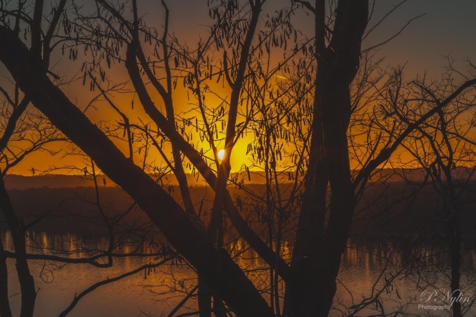 1000 Calhoun, SAVANNA, Illinois 61074, ,Rental,For Sale,Calhoun,202405518