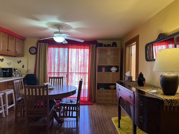 203 MONROE, HANOVER, Illinois 61041, 4 Bedrooms Bedrooms, ,2 BathroomsBathrooms,House,For Sale,MONROE,202602157