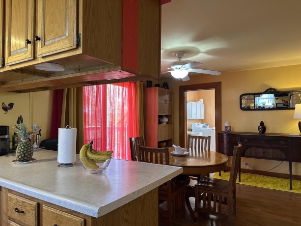 203 MONROE, HANOVER, Illinois 61041, 4 Bedrooms Bedrooms, ,2 BathroomsBathrooms,House,For Sale,MONROE,202602157