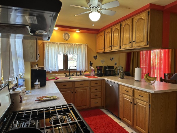 203 MONROE, HANOVER, Illinois 61041, 4 Bedrooms Bedrooms, ,2 BathroomsBathrooms,House,For Sale,MONROE,202602157