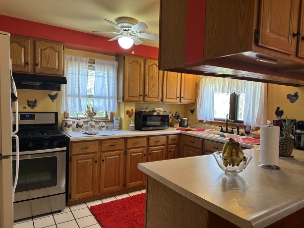 203 MONROE, HANOVER, Illinois 61041, 4 Bedrooms Bedrooms, ,2 BathroomsBathrooms,House,For Sale,MONROE,202602157