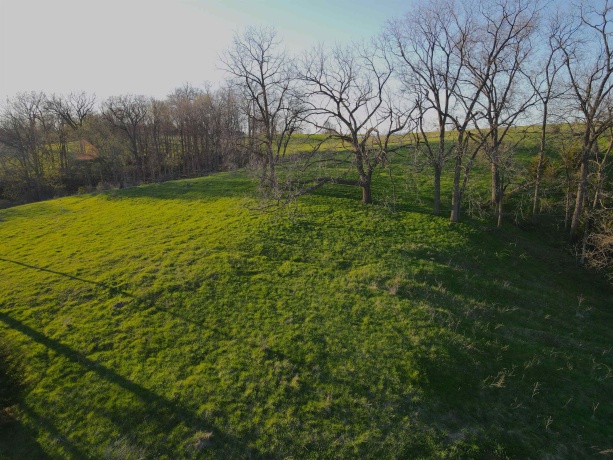 15700 Imbus Lane, EAST DUBUQUE, Illinois 61025, 2 Bedrooms Bedrooms, ,1 BathroomBathrooms,Farm,For Sale,Imbus Lane,202602159