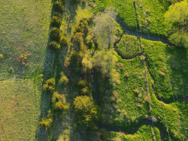 15700 Imbus Lane, EAST DUBUQUE, Illinois 61025, 2 Bedrooms Bedrooms, ,1 BathroomBathrooms,Farm,For Sale,Imbus Lane,202602159