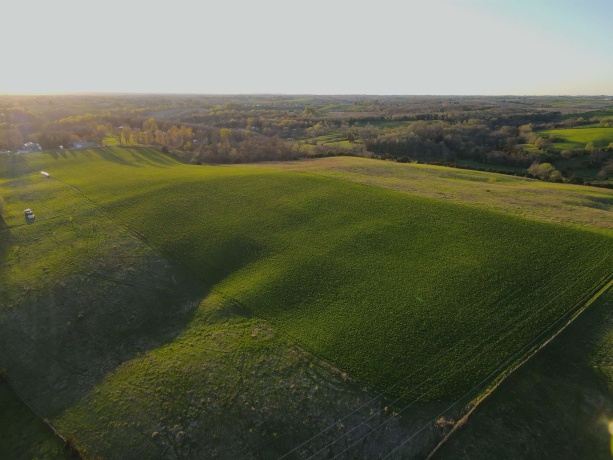 15700 Imbus Lane, EAST DUBUQUE, Illinois 61025, 2 Bedrooms Bedrooms, ,1 BathroomBathrooms,Farm,For Sale,Imbus Lane,202602159