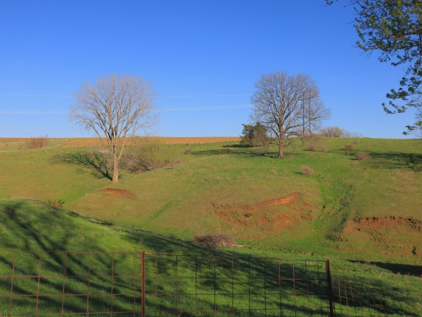 15700 Imbus Lane, EAST DUBUQUE, Illinois 61025, 2 Bedrooms Bedrooms, ,1 BathroomBathrooms,Farm,For Sale,Imbus Lane,202602159