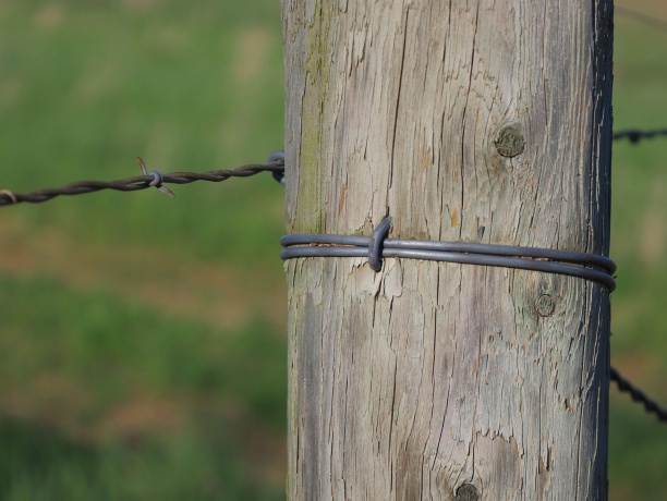 15700 Imbus Lane, EAST DUBUQUE, Illinois 61025, 2 Bedrooms Bedrooms, ,1 BathroomBathrooms,Farm,For Sale,Imbus Lane,202602159