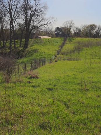 15700 Imbus Lane, EAST DUBUQUE, Illinois 61025, 2 Bedrooms Bedrooms, ,1 BathroomBathrooms,Farm,For Sale,Imbus Lane,202602159