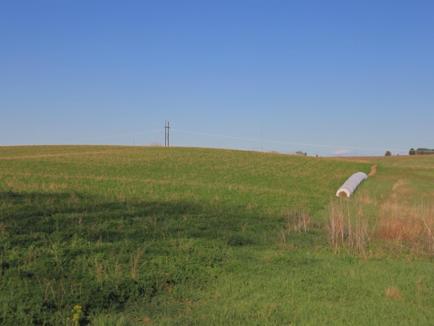 15700 Imbus Lane, EAST DUBUQUE, Illinois 61025, 2 Bedrooms Bedrooms, ,1 BathroomBathrooms,Farm,For Sale,Imbus Lane,202602159