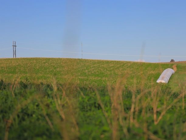 15700 Imbus Lane, EAST DUBUQUE, Illinois 61025, 2 Bedrooms Bedrooms, ,1 BathroomBathrooms,Farm,For Sale,Imbus Lane,202602159