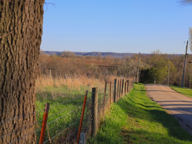 15700 Imbus Lane, EAST DUBUQUE, Illinois 61025, 2 Bedrooms Bedrooms, ,1 BathroomBathrooms,Farm,For Sale,Imbus Lane,202602159