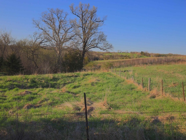 15700 Imbus Lane, EAST DUBUQUE, Illinois 61025, 2 Bedrooms Bedrooms, ,1 BathroomBathrooms,Farm,For Sale,Imbus Lane,202602159