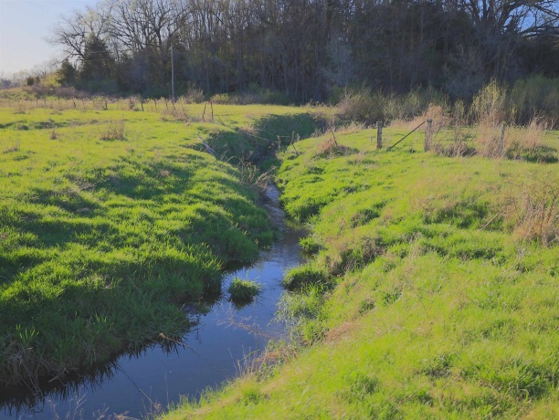 15700 Imbus Lane, EAST DUBUQUE, Illinois 61025, 2 Bedrooms Bedrooms, ,1 BathroomBathrooms,Farm,For Sale,Imbus Lane,202602159