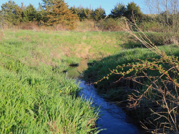 15700 Imbus Lane, EAST DUBUQUE, Illinois 61025, 2 Bedrooms Bedrooms, ,1 BathroomBathrooms,Farm,For Sale,Imbus Lane,202602159