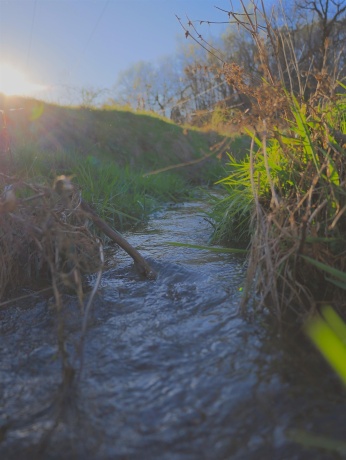 15700 Imbus Lane, EAST DUBUQUE, Illinois 61025, 2 Bedrooms Bedrooms, ,1 BathroomBathrooms,Farm,For Sale,Imbus Lane,202602159