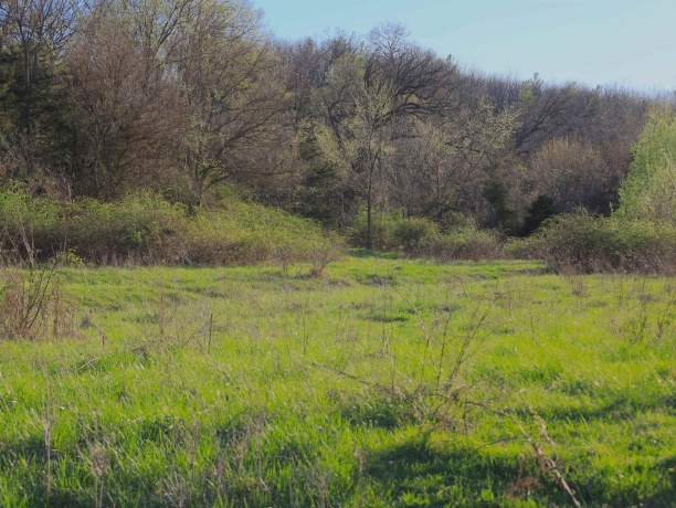 15700 Imbus Lane, EAST DUBUQUE, Illinois 61025, 2 Bedrooms Bedrooms, ,1 BathroomBathrooms,Farm,For Sale,Imbus Lane,202602159