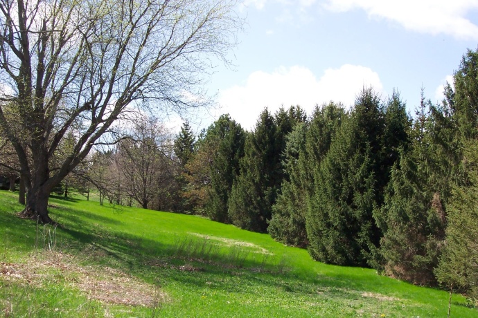 10072 IL RTE 72, FORRESTON, Illinois 61030, 3 Bedrooms Bedrooms, ,1 BathroomBathrooms,House,For Sale,IL RTE 72,202602163