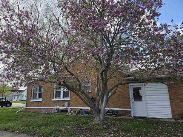 229 Mason, AMBOY, Illinois 61310, 2 Bedrooms Bedrooms, ,1 BathroomBathrooms,House,For Sale,Mason,202602185
