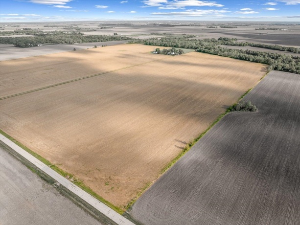 11635 Wange, CAPRON, Illinois 61012, ,Land,For Sale,Wange,202600362