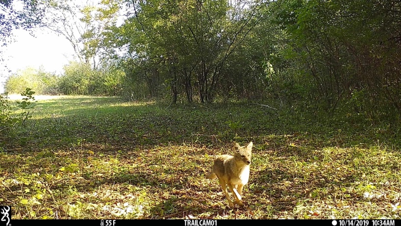 US Bypass 20, FREEPORT, Illinois 61032, ,Land,For Sale,20,202402489