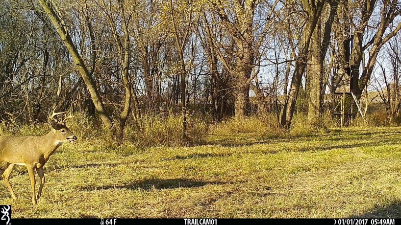 US Bypass 20, FREEPORT, Illinois 61032, ,Land,For Sale,20,202402489