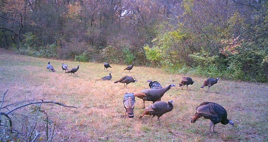 US Bypass 20, FREEPORT, Illinois 61032, ,Land,For Sale,20,202402489