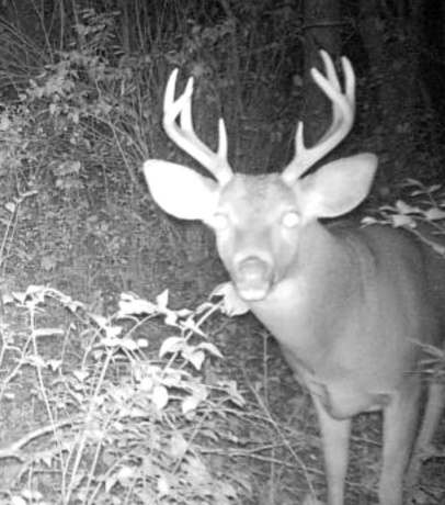 US Bypass 20, FREEPORT, Illinois 61032, ,Land,For Sale,20,202402489