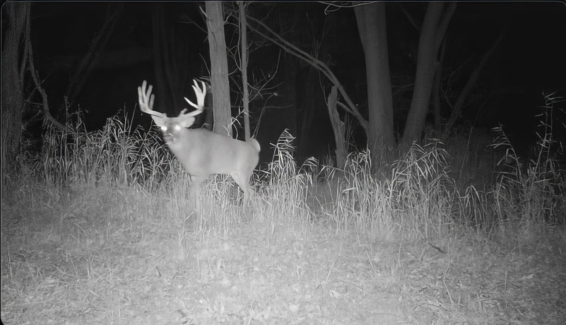 US Bypass 20, FREEPORT, Illinois 61032, ,Land,For Sale,20,202402489