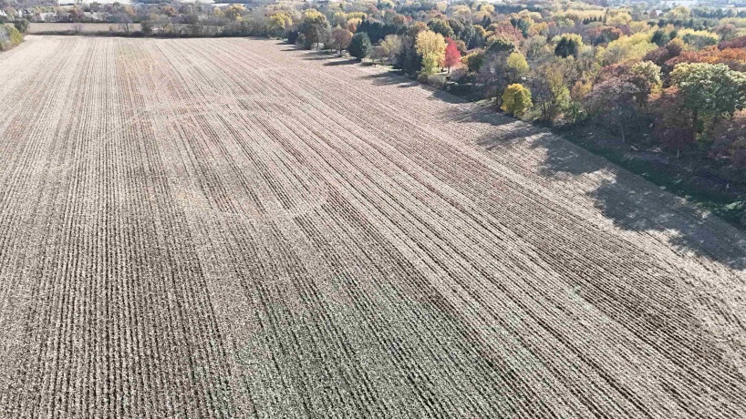 9729 Beaver Valley, BELVIDERE, Illinois 61008, 4 Bedrooms Bedrooms, ,1 BathroomBathrooms,House,For Sale,Beaver Valley,202507062