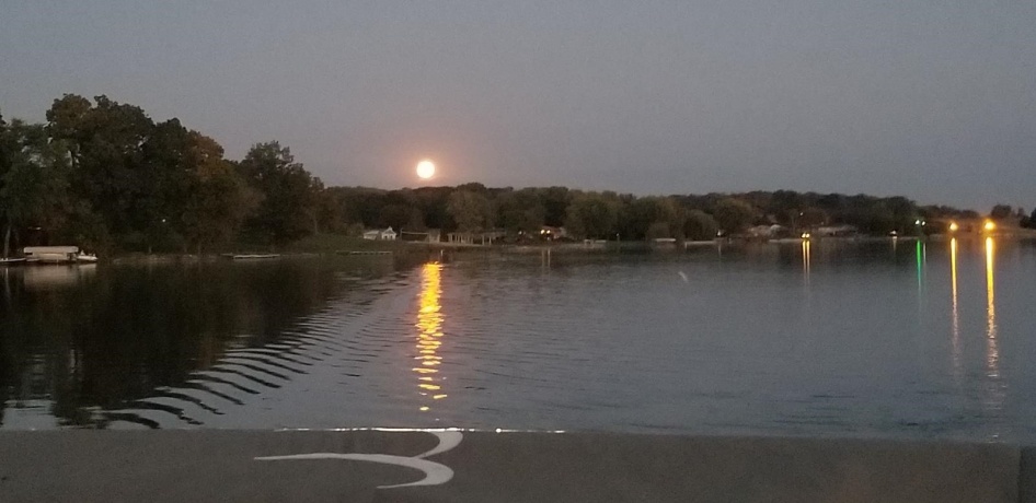 1396 Pier, LAKE SUMMERSET, Illinois 61019, ,Land,For Sale,Pier,202602235