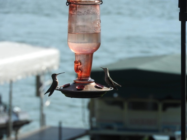 1396 Pier, LAKE SUMMERSET, Illinois 61019, ,Land,For Sale,Pier,202602235