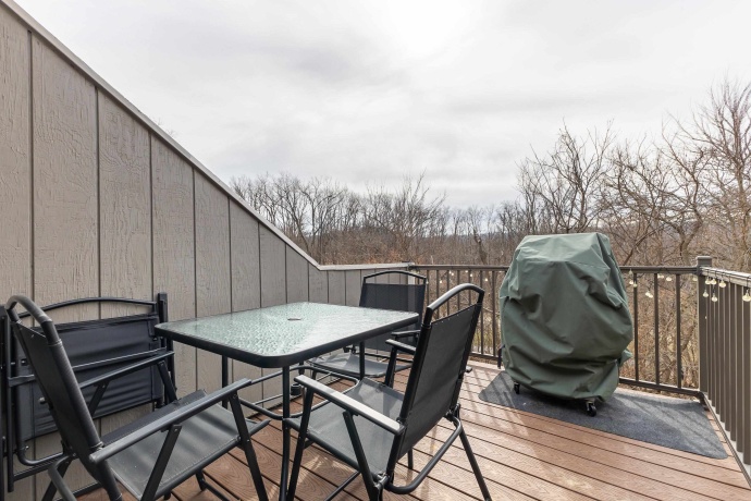 106 Plum Cove, GALENA, Illinois 61036, 2 Bedrooms Bedrooms, ,2 BathroomsBathrooms,Condominium,For Sale,Plum Cove,202602239