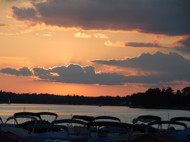 928 Butternut Bend, LAKE SUMMERSET, Illinois 61019, ,Land,For Sale,Butternut Bend,202602240